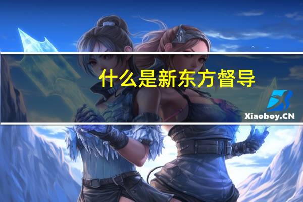 什么是新东方督导