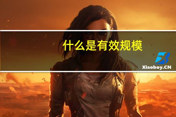 什么是有效规模