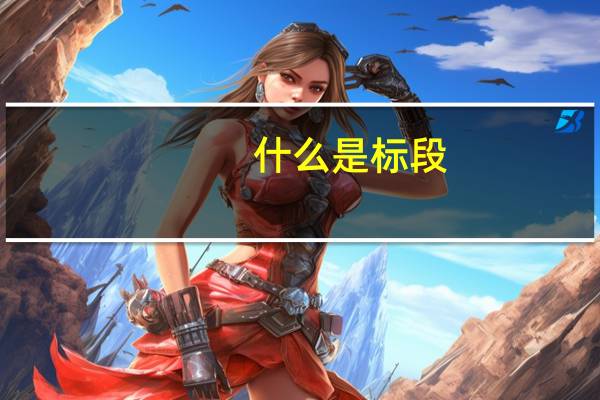 什么是标段
