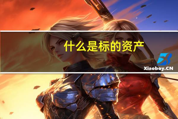 什么是标的资产