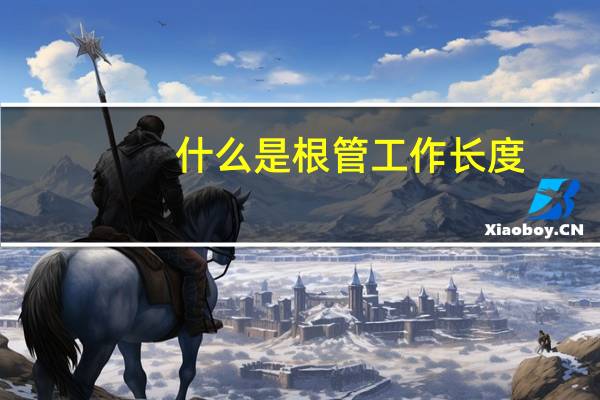 什么是根管工作长度
