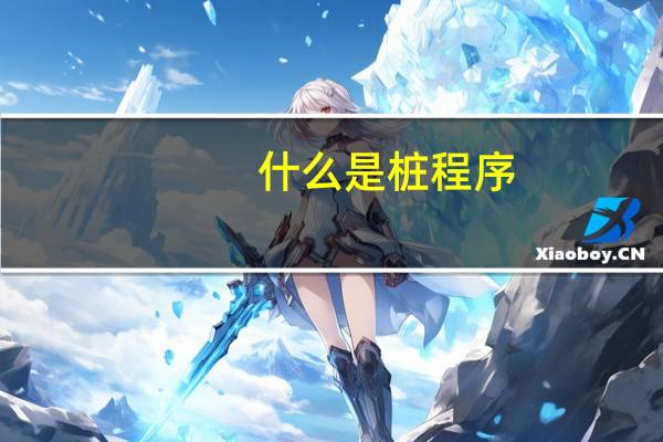 什么是桩程序