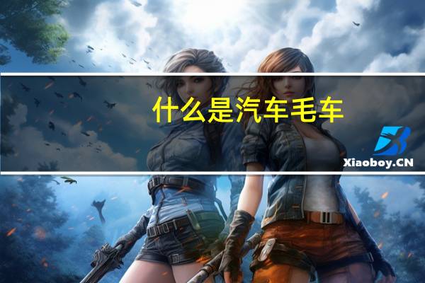 什么是汽车毛车