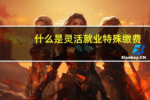 什么是灵活就业特殊缴费