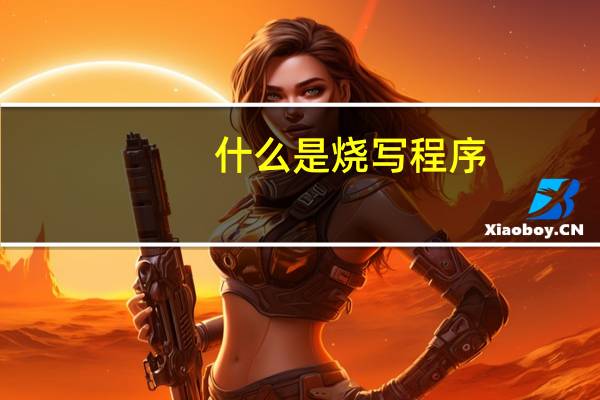 什么是烧写程序