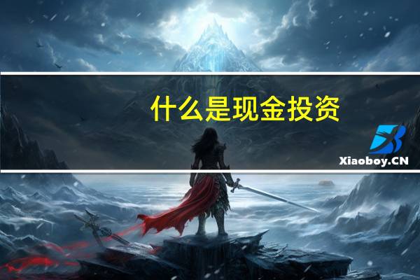 什么是现金投资