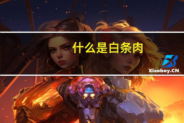 什么是白条肉