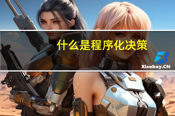 什么是程序化决策