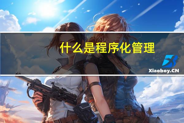 什么是程序化管理