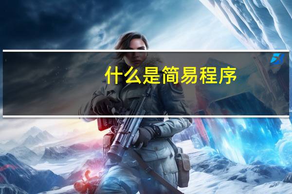什么是简易程序