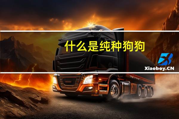 什么是纯种狗狗