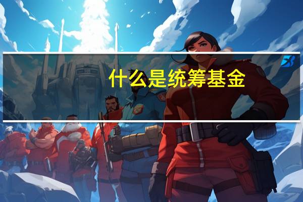什么是统筹基金