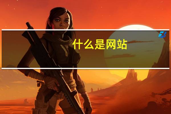 什么是网站