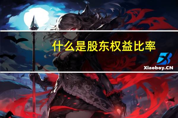 什么是股东权益比率