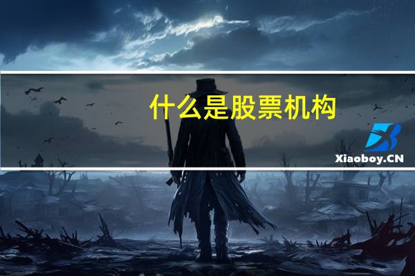 什么是股票机构