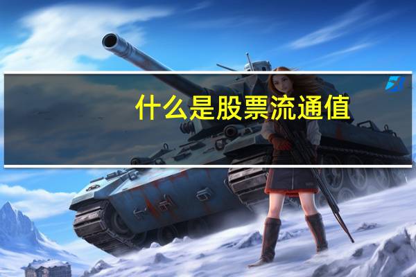 什么是股票流通值