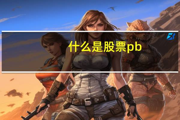 什么是股票pb