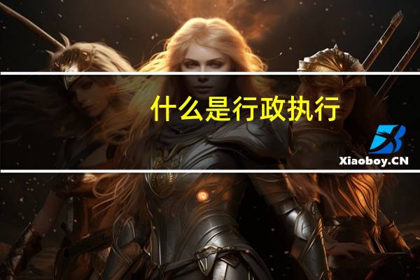 什么是行政执行