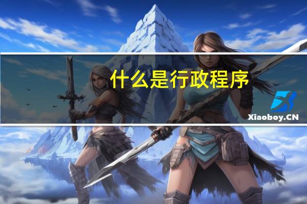 什么是行政程序