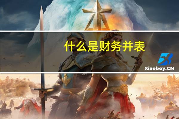 什么是财务并表