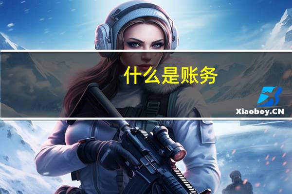 什么是账务