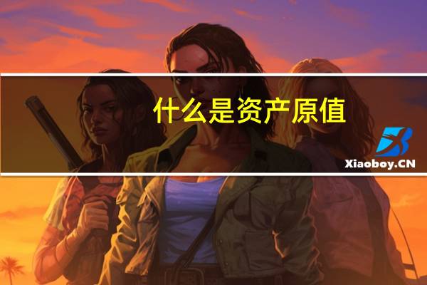 什么是资产原值