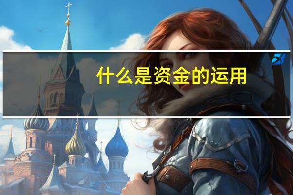 什么是资金的运用