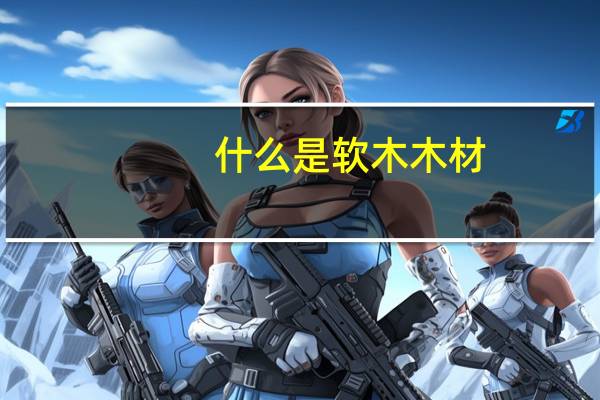 什么是软木木材