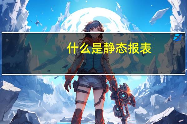 什么是静态报表