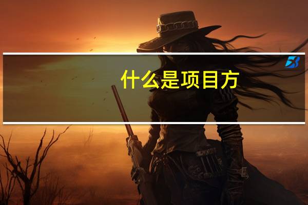 什么是项目方