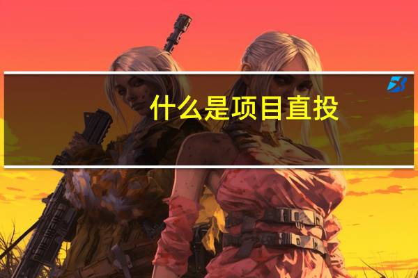 什么是项目直投