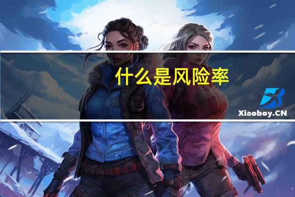 什么是风险率