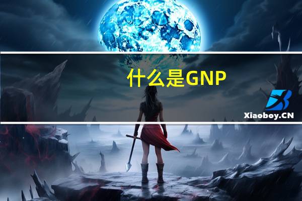 什么是GNP