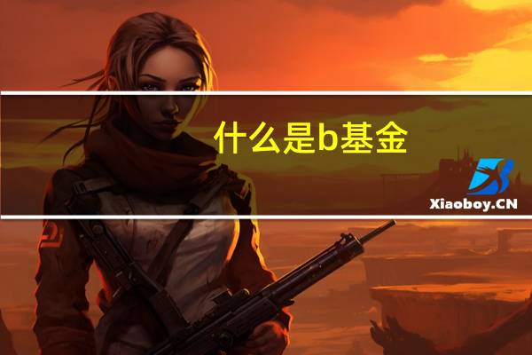 什么是b基金