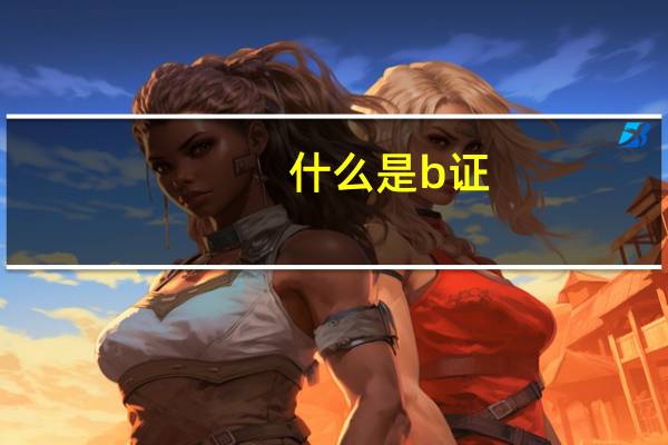 什么是b证