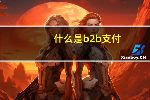 什么是b2b支付