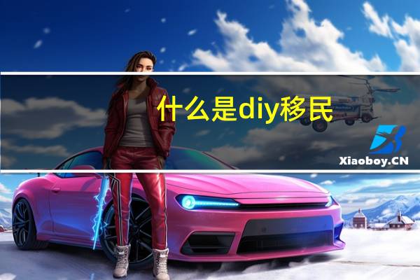 什么是diy移民