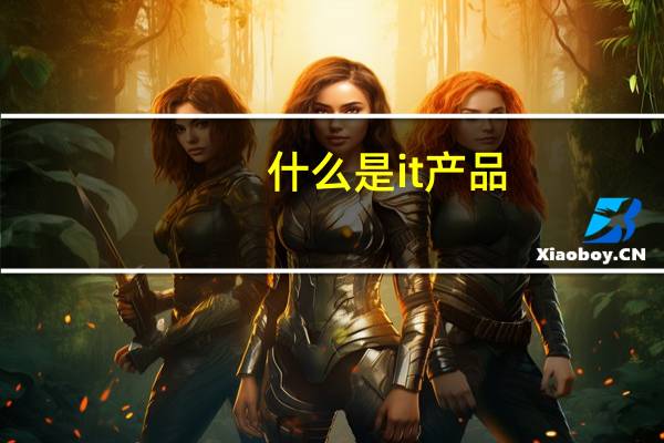 什么是it产品