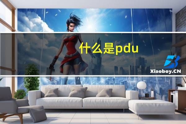 什么是pdu
