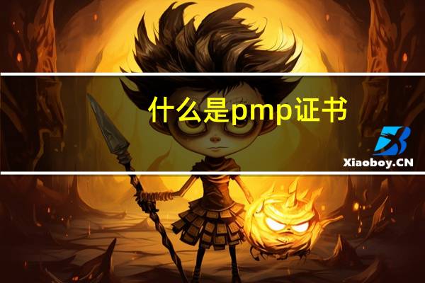 什么是pmp证书