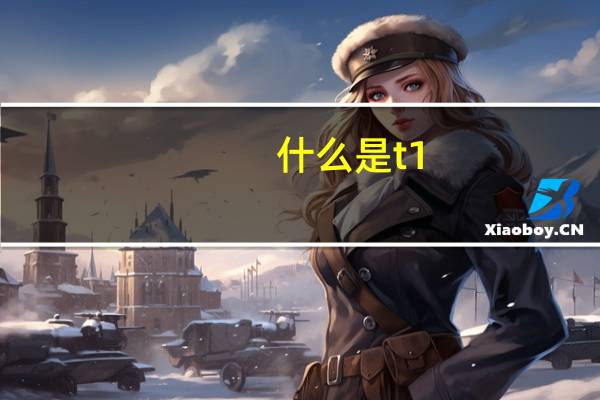 什么是t1