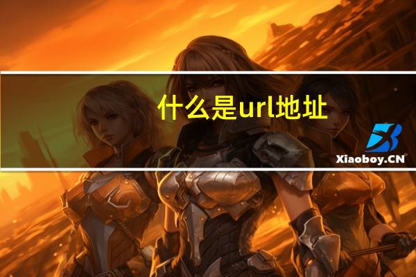 什么是url地址