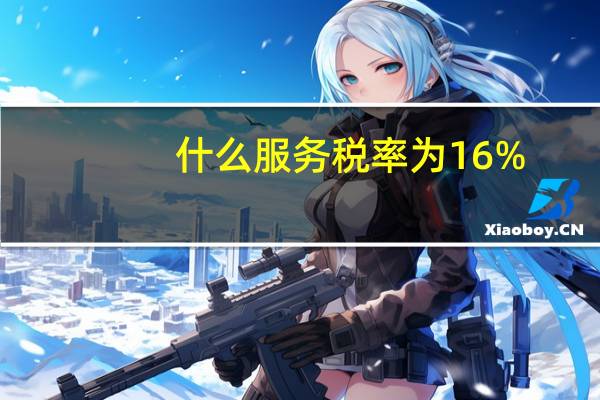 什么服务税率为16%