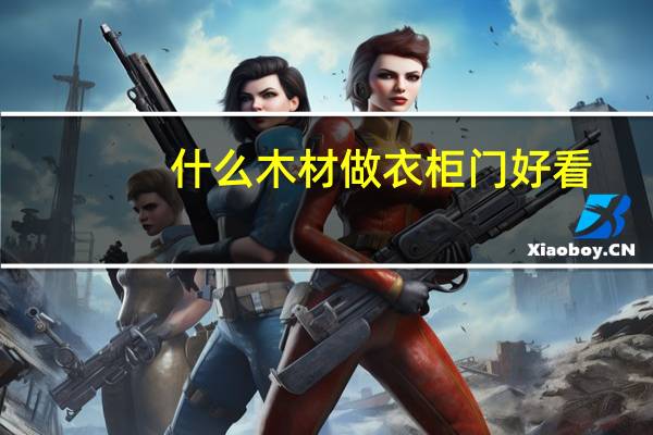 什么木材做衣柜门好看