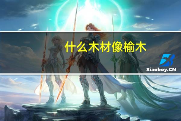 什么木材像榆木