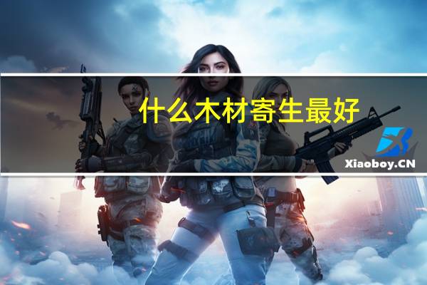 什么木材寄生最好
