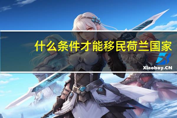 什么条件才能移民荷兰国家