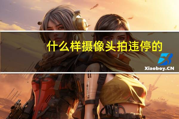 什么样摄像头拍违停的