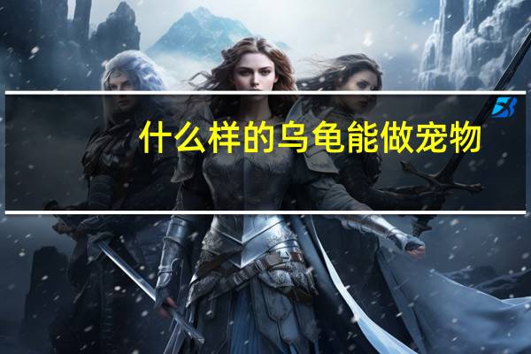 什么样的乌龟能做宠物