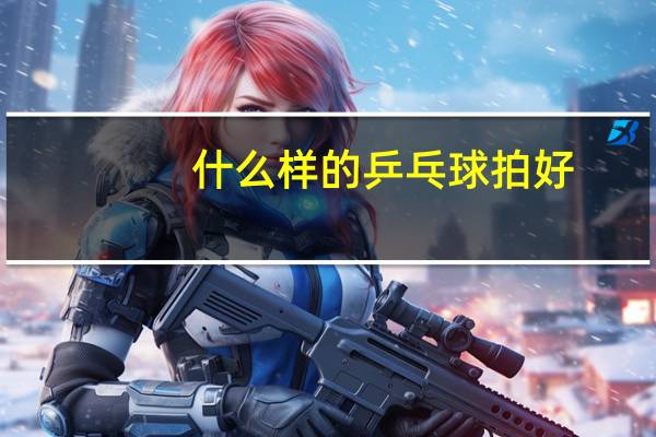 什么样的乒乓球拍好